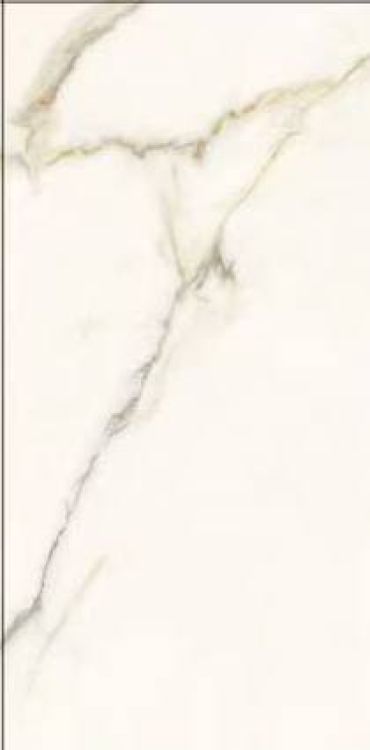 Time Dorado Polished 12 x 24